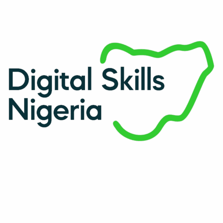 Call for Applications: Digital Skills Nigeria Program | Virtual/Physical Location across Nigeria