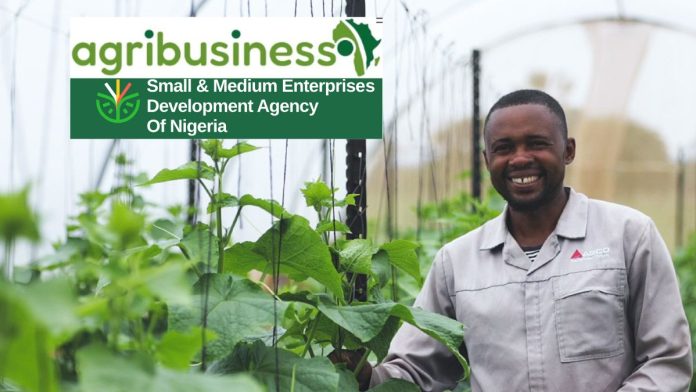 Federal Government ADEP Program 2025 – SMEDAN