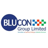 Remote UI / UX Designer at Blucon Valley Limited