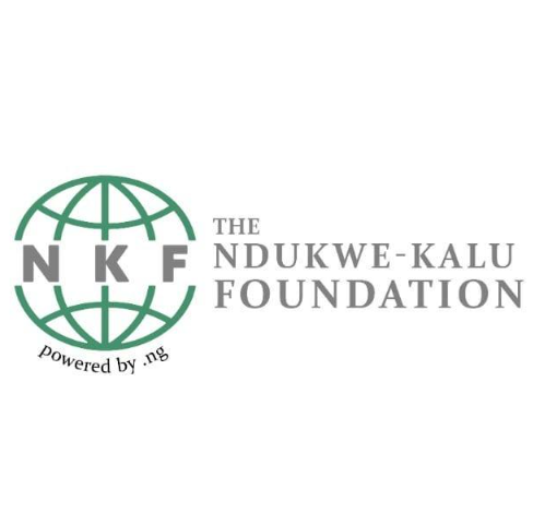 Ndukwe Kalu Foundation DNS Research and Project Grant for Nigerian Students