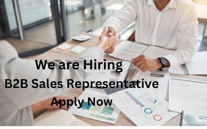 Remote B2B Sales Executive at Biz Afric Solutions