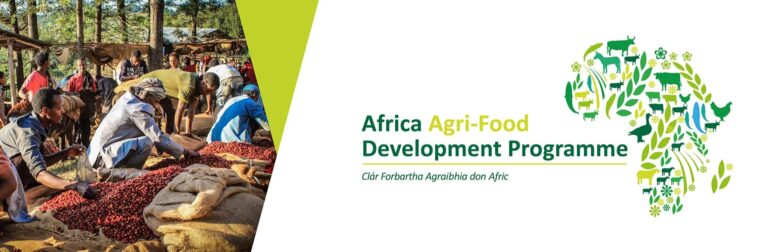 Applications are now open for the 2025/2026 Africa Agri-Food Development Programme